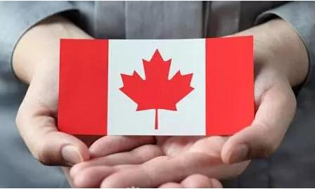 重磅丨加拿大政府取消移民法C24条款啦！